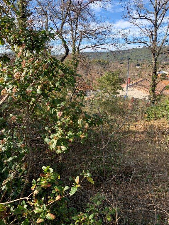 Terrain constructible à vendre dans le Var